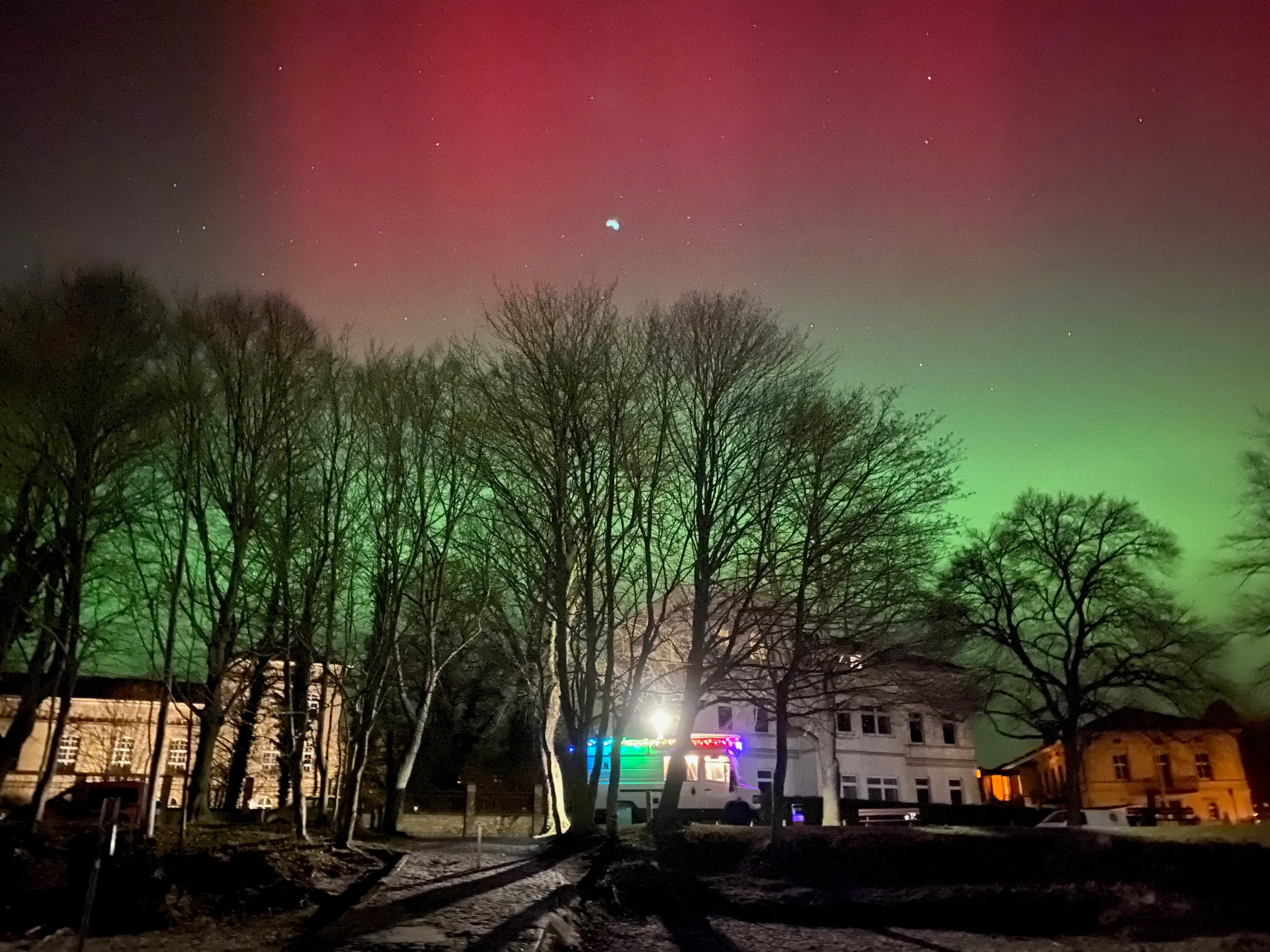 Rotes und grünes Polarlicht über kahlen Bäumen, unten ein paar beleuchtete Gebäude.